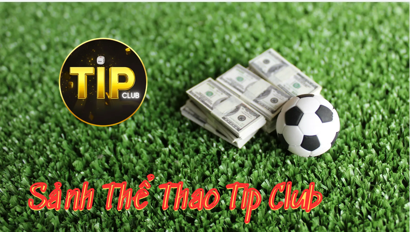 Giới thiệu thể thao Tip Club